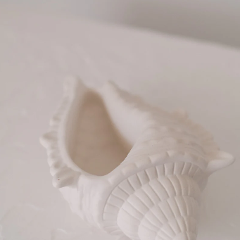 Large Conch Shell Trinket Dish-made by bird on the wall-Lot 39 Store & Cafe