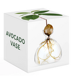 Avocado Vase - Clear-June Edit-Lot 39 Store & Cafe