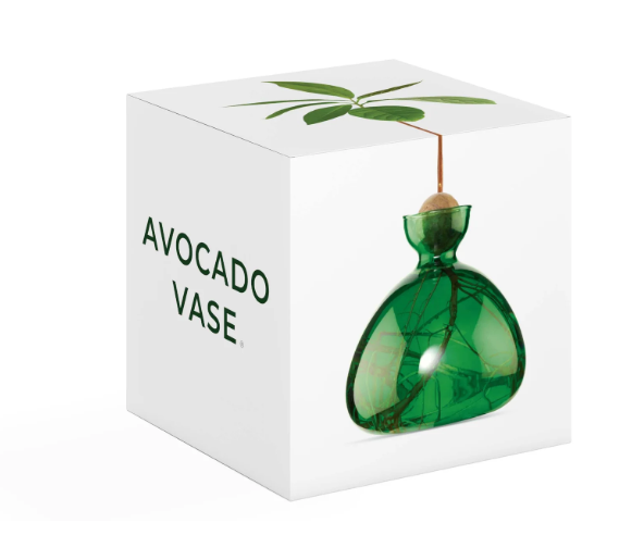 Avocado Vase - Emerald Green-June Edit-Lot 39 Store & Cafe