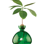 Avocado Vase - Emerald Green-June Edit-Lot 39 Store & Cafe