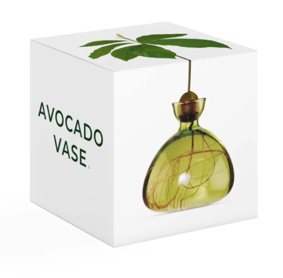 Avocado Vase - Grass Green-June Edit-Lot 39 Store & Cafe