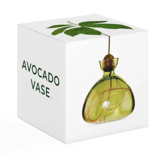 Avocado Vase - Grass Green-June Edit-Lot 39 Store & Cafe