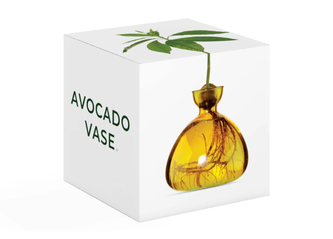 Avocado Vase - Mellow Yellow-June Edit-Lot 39 Store & Cafe