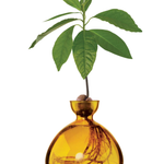 Avocado Vase - Mellow Yellow-June Edit-Lot 39 Store & Cafe