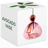 Avocado Vase - Rose Pink-June Edit-Lot 39 Store & Cafe