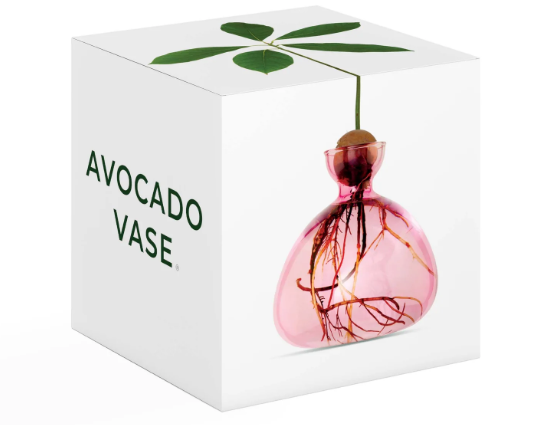Avocado Vase - Rose Pink-June Edit-Lot 39 Store & Cafe