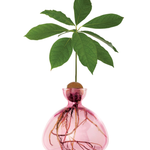 Avocado Vase - Rose Pink-June Edit-Lot 39 Store & Cafe