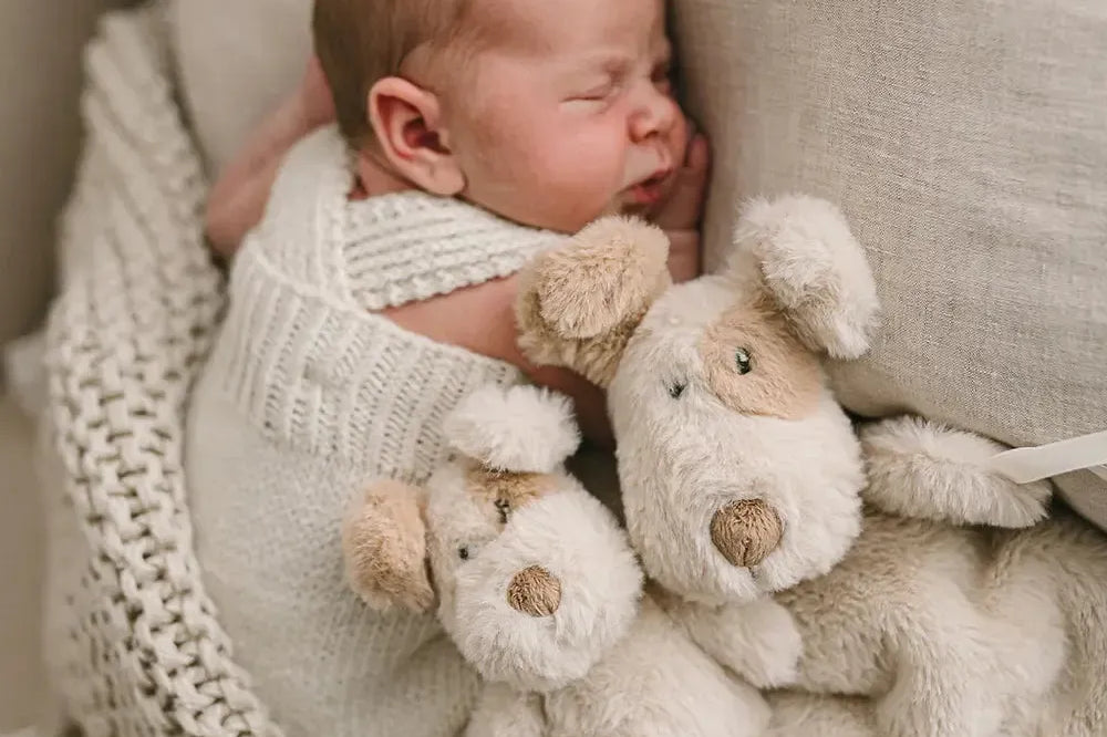 Buddy the Dog Rattle-Nana Huchy-Lot 39 Store & Cafe