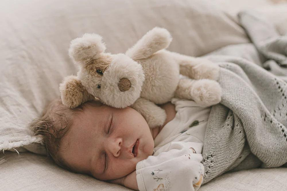 Buddy the Dog Rattle-Nana Huchy-Lot 39 Store & Cafe