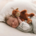 Henry the Highland Cow Rattle-Nana Huchy-Lot 39 Store & Cafe