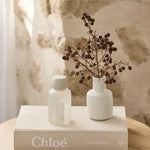 Mango & Lychee Room Spray-Not specified-Lot 39 Store & Cafe