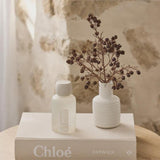 Mango & Lychee Room Spray-Not specified-Lot 39 Store & Cafe