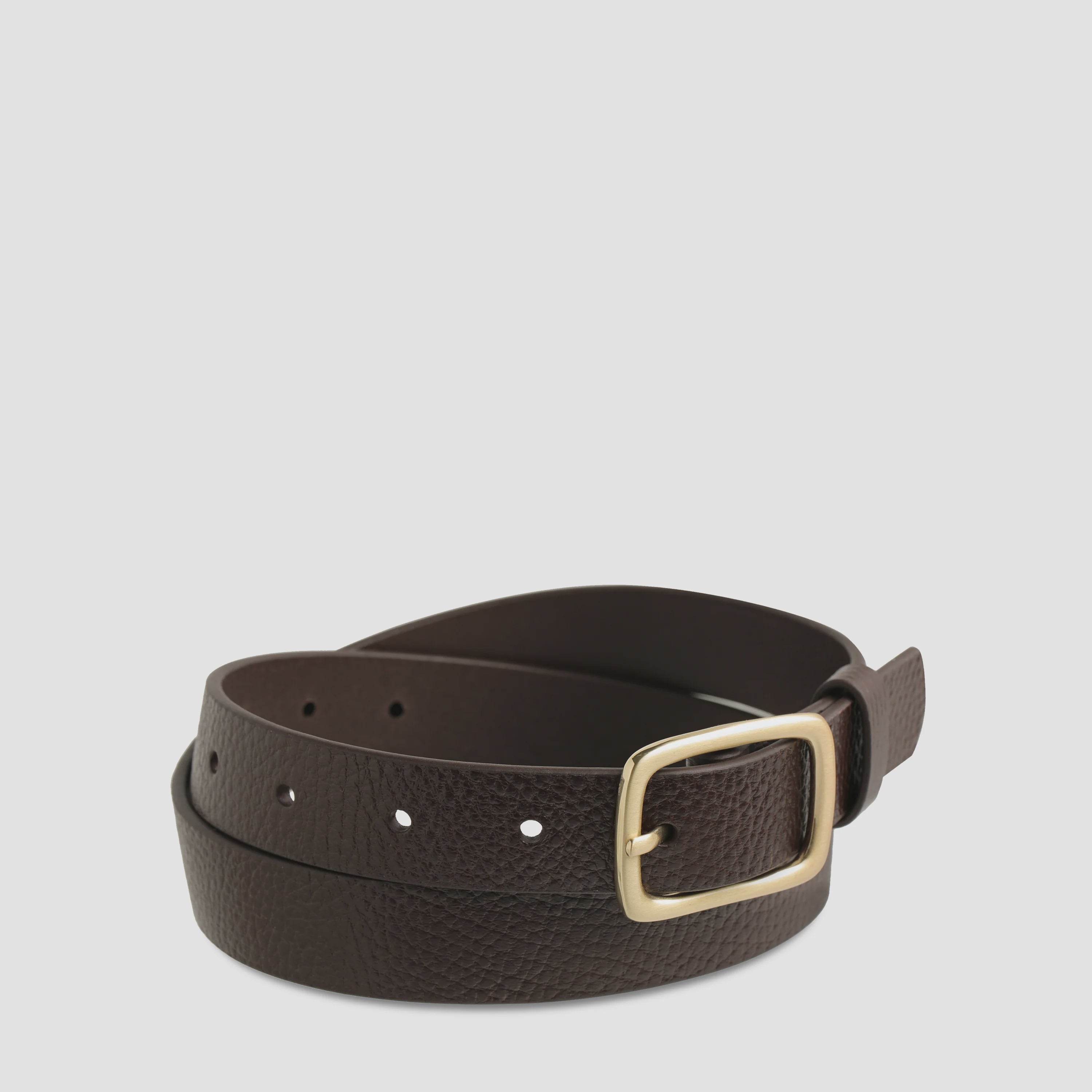 Nobody's Fault Belt - Choc/Gold-Status Anxiety-Lot 39 Store & Cafe