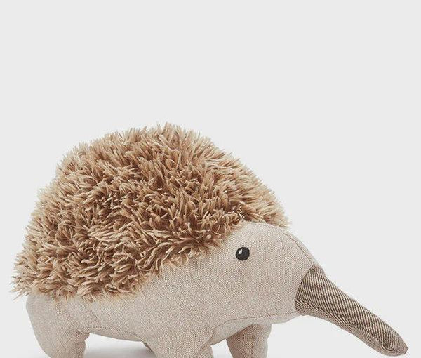Spike the Echidna-Nana Huchy-Lot 39 Store & Cafe