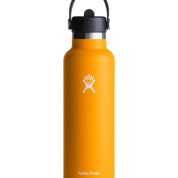 21oz Bottle with Flex Straw-Hydro Flask-Lot 39 Store & Cafe