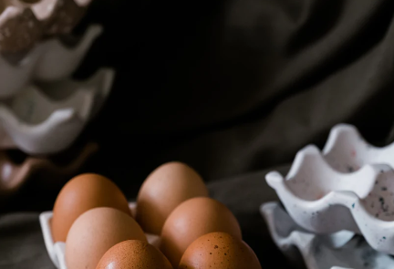 Chicken Egg Holder-made by bird on the wall-Lot 39 Store & Cafe
