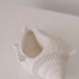 Large Conch Shell Trinket Dish-made by bird on the wall-Lot 39 Store & Cafe