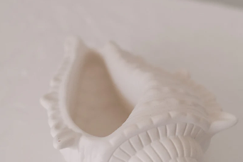 Large Conch Shell Trinket Dish-made by bird on the wall-Lot 39 Store & Cafe