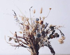 Modern Dried Flowers-Hardie Grant Gift-Lot 39 Store & Cafe